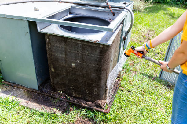 Best Air Vent Cleaning Services  in Petoskey, MI