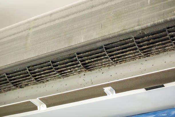 Best HVAC Maintenance and Cleaning  in Petoskey, MI